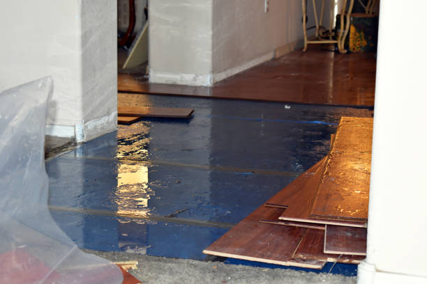 Professional Flood Damage Cleanup technician working in Oak Hill, OH